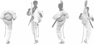 圖片57