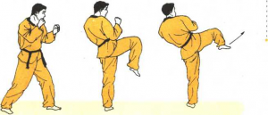 圖片10