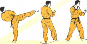 圖片11