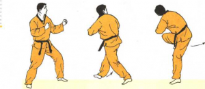 圖片12