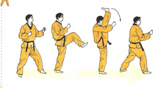 圖片14