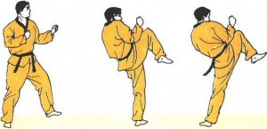 圖片15