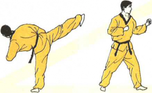 圖片16