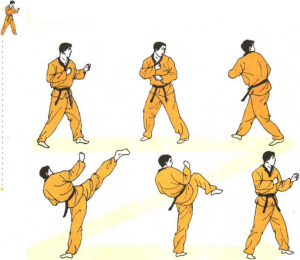 圖片17