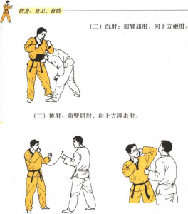 圖片19