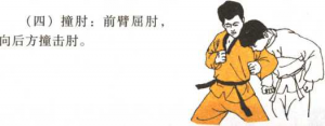 圖片20