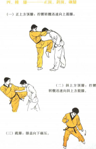 圖片21