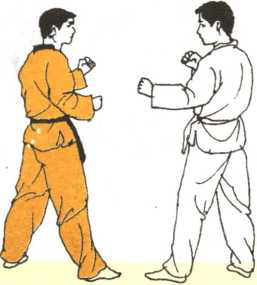 圖片31