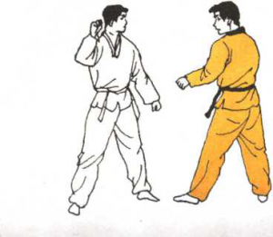 圖片34