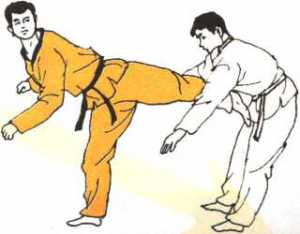 圖片37