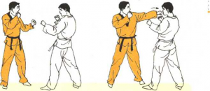 圖片40