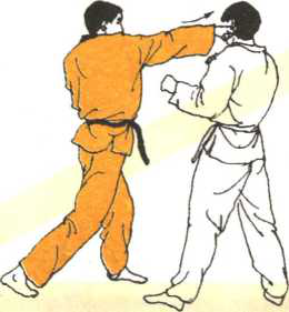 圖片41