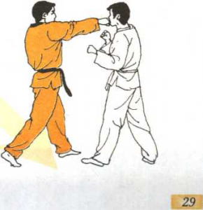 圖片44