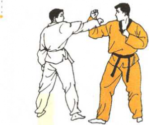 圖片52