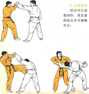 圖片55