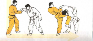 圖片65