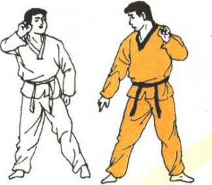 圖片66