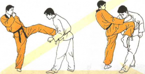 圖片77