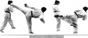 圖片67