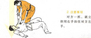 圖片5