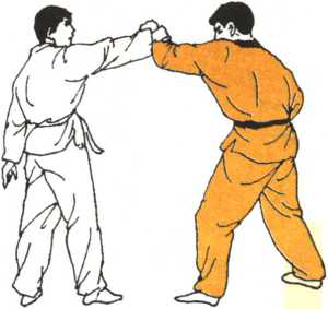 圖片6