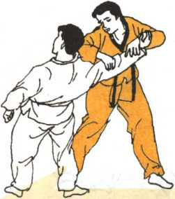 圖片7
