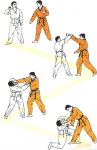 圖片11