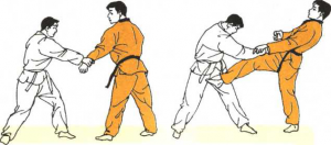 圖片13