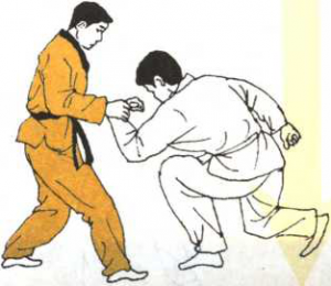 圖片17