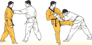 圖片18