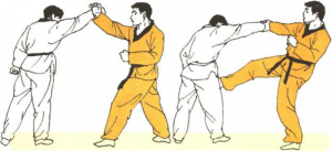 圖片19