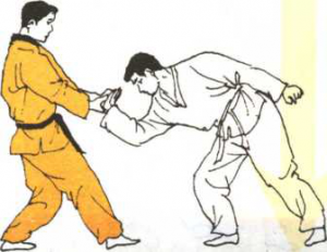 圖片21
