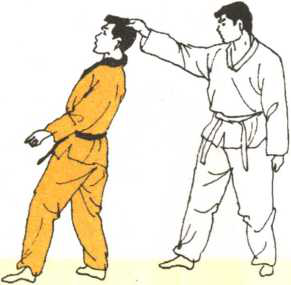 圖片22