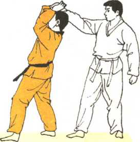 圖片23