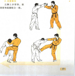 圖片25