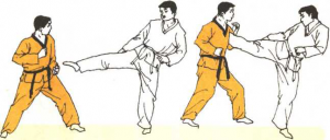 圖片26
