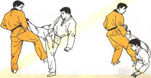 圖片27