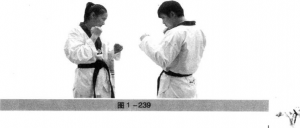 圖片82