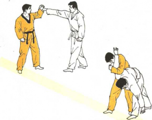 圖片28