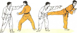圖片29