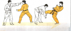 圖片31