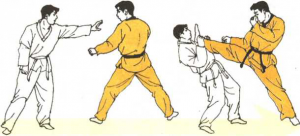 圖片32