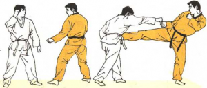 圖片33