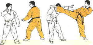 圖片34