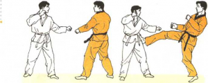 圖片35
