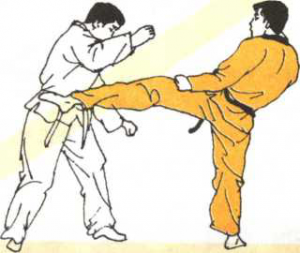 圖片36