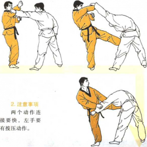 圖片43