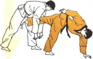 圖片47