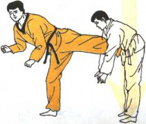 圖片53