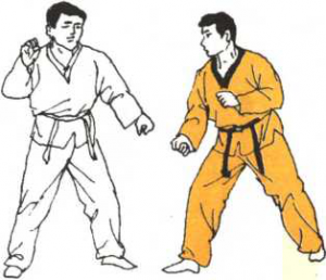 圖片56